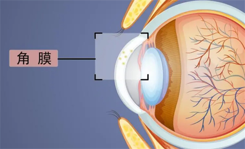 揭秘角膜移植一只眼的价格区间！项目收费大盘点助你心中有数  